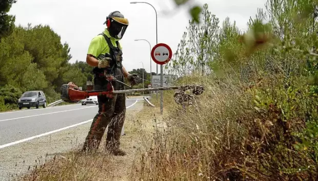 Es cierto que se desbrozan algunas carreteras, pero no lo suficiente