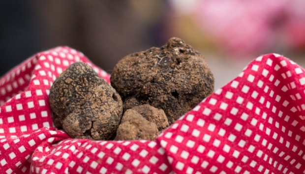 Algunas trufas del mercado de Cahors