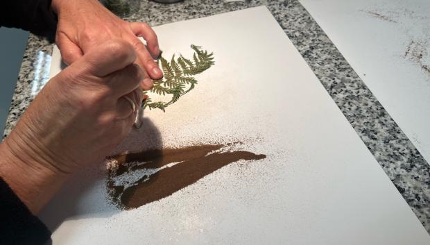 Extracción de esporas de helecho en el Banco de Germoplasma Vegetal de Andalucía
