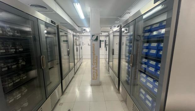 Cámaras de conservación de semillas en el Banco de Germoplasma Vegetal de Andalucía
