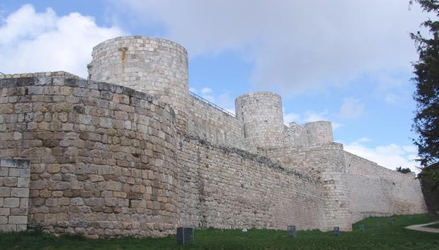 Castillo de Burgos