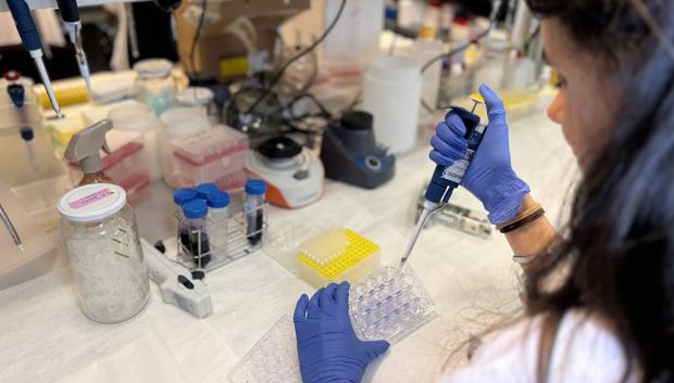 Hospital de La Paz desvela una proteína clave en la agresividad del melanoma