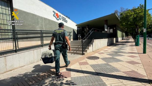 El guacamayo, camino del zoológico cordobés