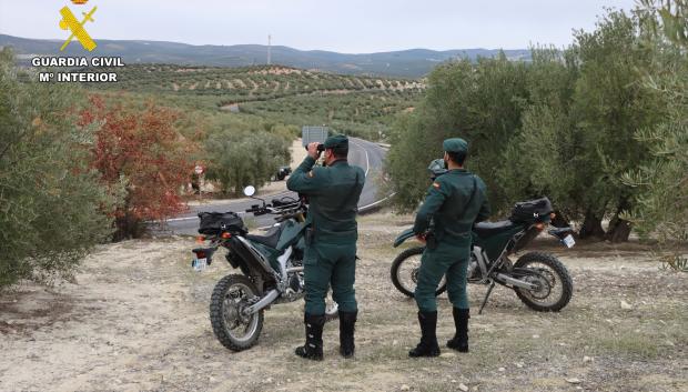 (Foto de ARCHIVO)
Imagen de agentes de las Unidades del Servicio de Protección de la Naturaleza (Seprona)