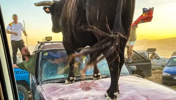 Conviene tener cuidado porque a veces los coches no salen bien parados