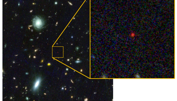 En estas imágenes del Telescopio Espacial James Webb (JWST), la estrella del agujero negro destaca como un pequeño punto rojo.
