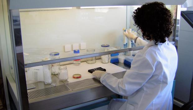 Madrid logra la primera acreditación en España para identificar tipos de uva mediante ADN
