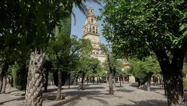Patio de los Naranjos