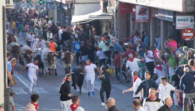Primero de los encierros de las fiestas de Cuéllar, considerados los más antiguos de España
