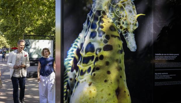 Exposición que documenta especies y ecosistemas amenazados