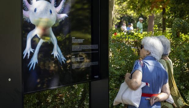 Exposición "Emociones en peligro" en El Retiro