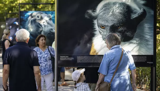 El parque de El Retiro es el espacio elegido para la muestra