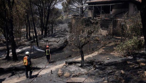 Árboles quemados tras el incendio devastador