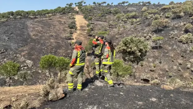 Agentes forestales sobre el terreno