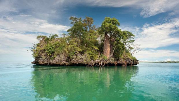 Islote con baobabs, el árbol icónico de Magagascar