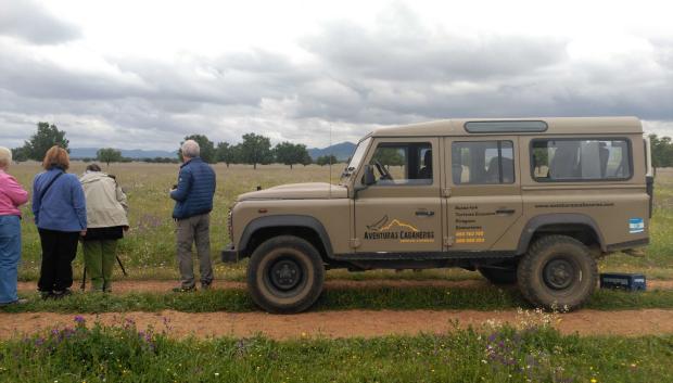 Observación de la berrea en Cabañeros