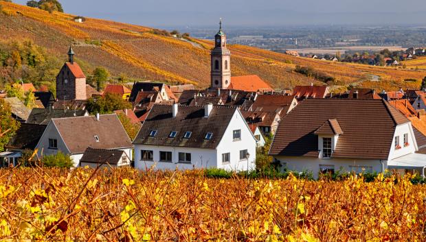 Pueblo de Riquewihr y sus viñedos en otoño