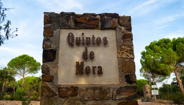 Quintos de Mora