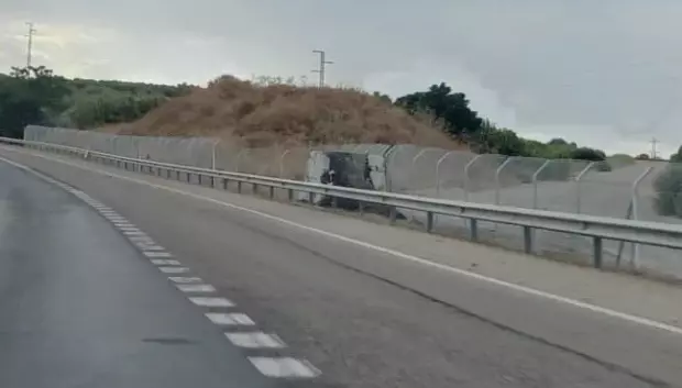 Estos monolitos permiten salir animales