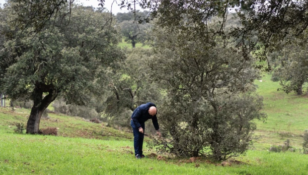 Toño Pérez en la dehesa extremeña