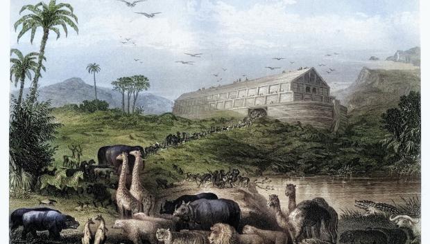 Ilustración de los animales que entran en el Arca de Noé