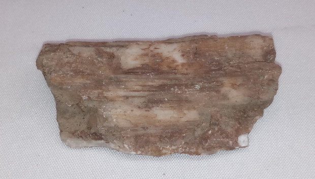Molde de cuarzo de madera encontrado por un turista en el sitio arqueológico de Durupinar