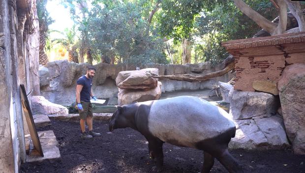 Imagen de Bioparc Fuengirola