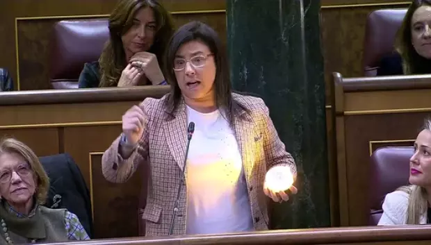 La diputada del PP Ana Belén Vázquez llevó la baliza V16 al Congreso