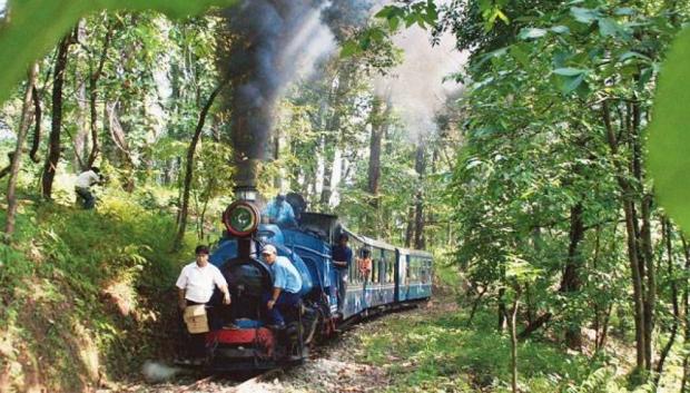 El tren atraviesa bosques y campos de té