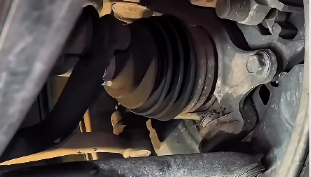 Tal y como explica la clave de la calidad está en los bajos
