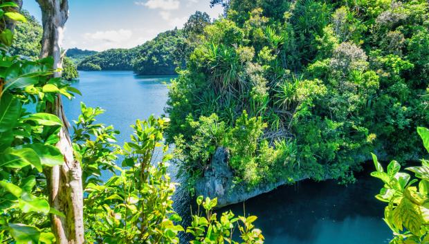 Océano y selva tropical en Palaos
