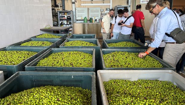 La empresa Finca La Torre pertenece al empresario suizo Daniel Aegerter, quien desconocía el mundo oleícola cuando se hizo con los terrenos hace ya más de 15 años