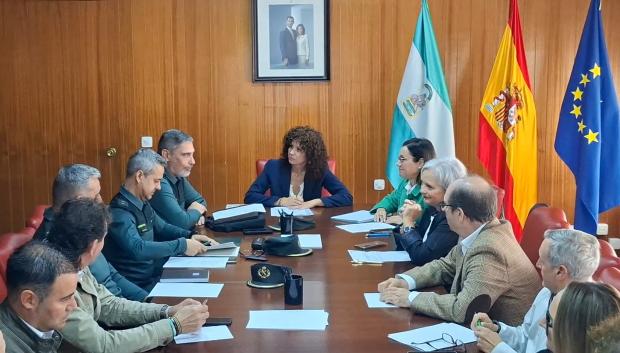 Reunión de la subdelegada del Gobierno en Córdoba para la campaña agrícola 26/27