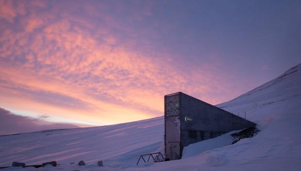 Banco Mundial de Semillas de Svalbard