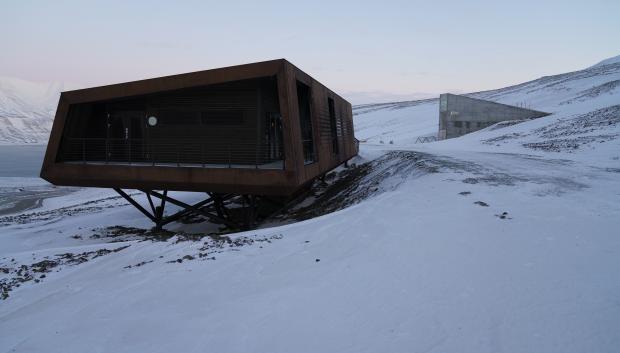 Banco Mundial de Semillas de Svalbard