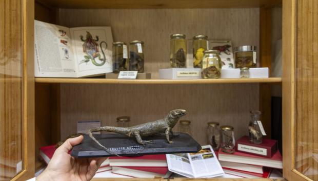Museo de historia natural del IES Fray Luis de León en Salamanca