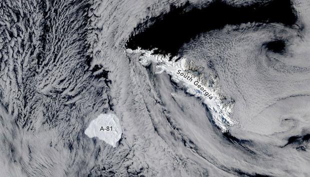 El iceberg A-81, captado por el instrumento MODIS de la NASA
