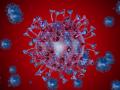 Célula del virus en  aumento. Ilustración 3D