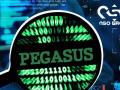 Representación del software espía Pegasus y su fabricante NSO