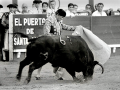 Curro Romero con el capote en el Puerto de Santa María