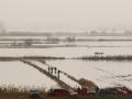 Campos llenos de agua ante la crecida extraordinaria del río Ebro en Novillas (Zaragoza)