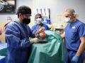 Corazón de cerdo trasplantado en la Universidad de Maryland