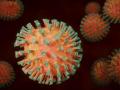 Los materiales han sido eficaces con los virus de la covid-19, de la gripe, del herpes simple y con adenovir