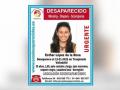 Cartel con la fotografía y datos de la joven desaparecida en Traspinedo