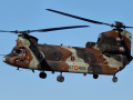 El helicóptero de transporte militar Chinook CH47F del Ejército de Tierra Español