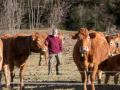 Un ganadero en el medio rural. La despoblación preocupa en Castilla y León