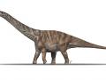 Abditosaurus kuehnei, el dinosaurio descubierto en los Pirineos