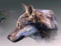 Recreación del animal a partir del fósil encontrado