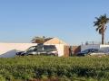Vehículos de la Guardia Civil en uno de los registros realizado en El Palmar, en Vejer.

Agentes de la Guardia Civil desarrollan desde la madrugada de este miércoles una operación contra una organización dedicada al narcotráfico con 300 agentes desplegados en varias localidades del Campo de Gibraltar y la Janda, en la provincia de Cádiz, donde se está produciendo decenas de registros.

SOCIEDAD ESPAÑA EUROPA ANDALUCÍA
