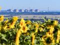 Six power units of the Zaporizhzhia Nuclear Power Plant which generate 40-42 billion kWh of electricity are seen in the distance behind the field of sunflowers, Enerhodar, Zaporizhzhia Region, southeastern Ukraine, July 9, 2019. Ukrinform. 
B355 electricity energy field industry nuclear power power unit sunflower Zaporizhzhia Nuclear Power Plant Zaporizhzhia NPP 
 

Zaporiyia